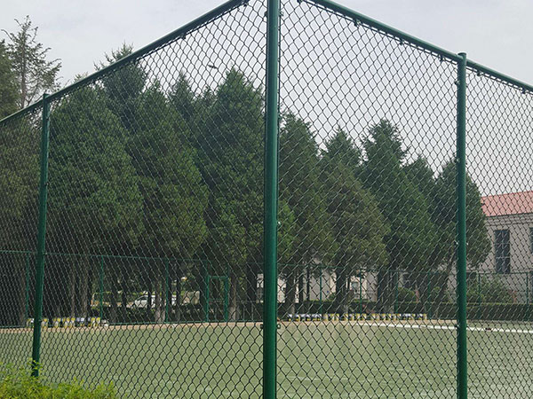 <a href=http://www.covidtestsgov.com target='_blank'>勾花網(wǎng)</a>1-案例.jpg